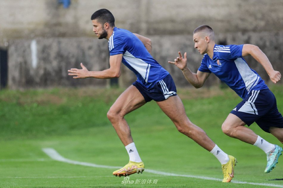 张丽不仅在 张丽不仅在