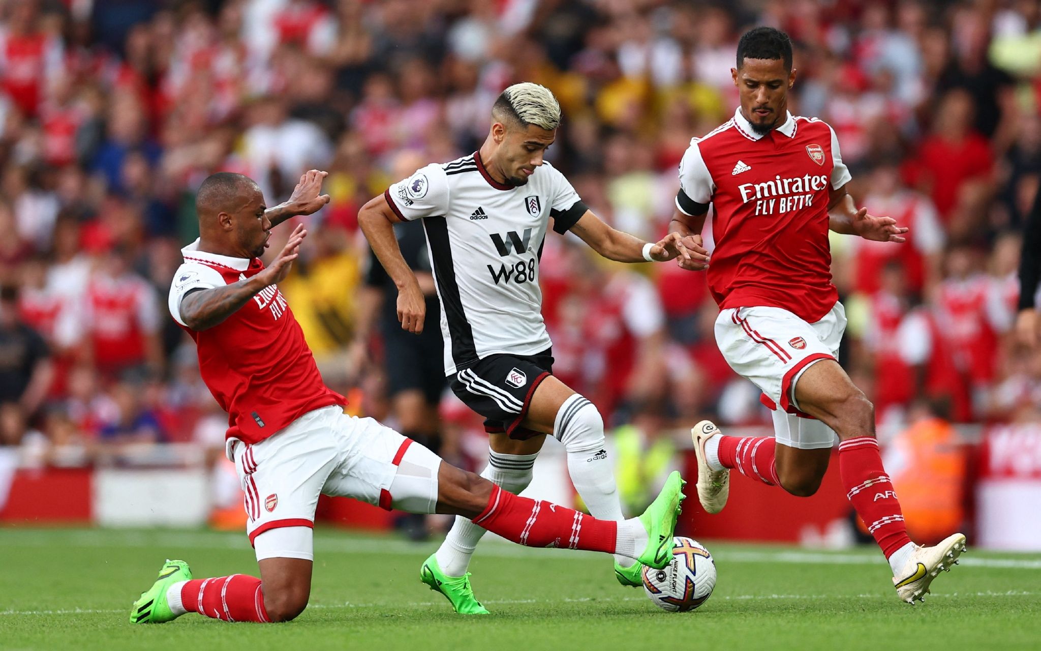 尖球队的参 尖球队的参