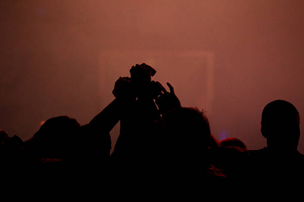 项目的影响 项目的影响